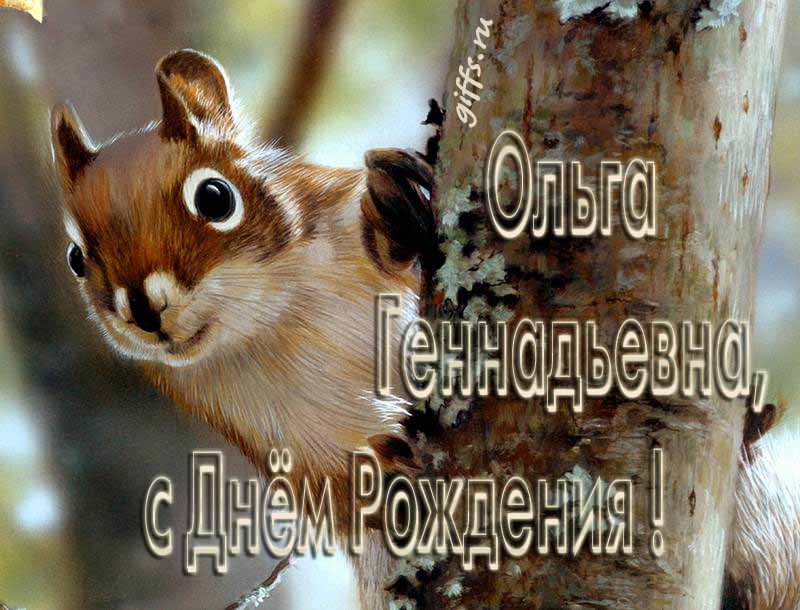 Смешная картинка с белочкой для Ольги Геннадьевны в честь её дня рождения. Смешная картинка с белочкой для Ольги Геннадьевны в честь её дня рождения.