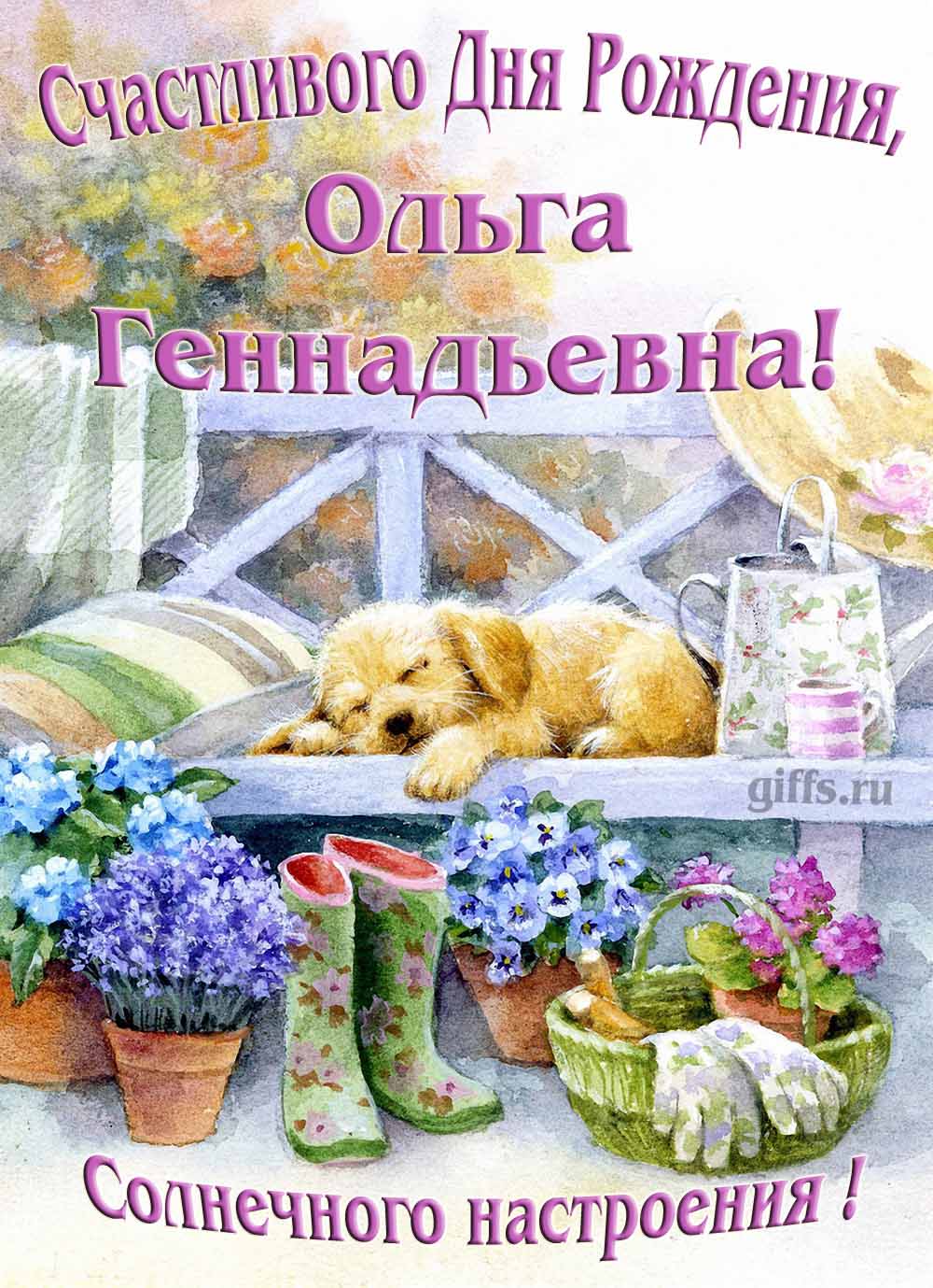Забавная картинка с собачкой для именного поздравления Ольги Геннадьевны с ДР. Забавная картинка с собачкой для именного поздравления Ольги Геннадьевны с ДР.