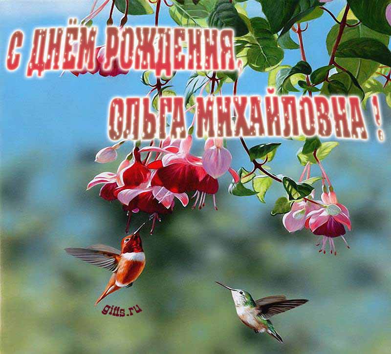 Весенние красивые картинки с надписями "С днём рождения, Ольга Михайловна!". Весенние красивые картинки с надписями "С днём рождения, Ольга Михайловна!".