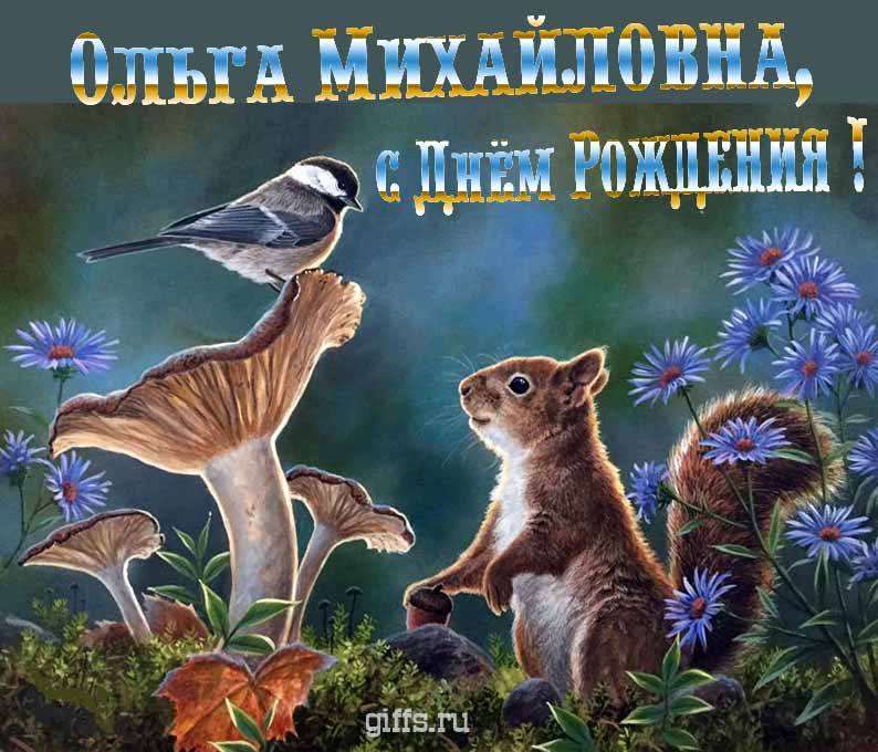 Смешная открытка с белочкой на день рождения, уважаемой Ольге Михайловне. Смешная открытка с белочкой на день рождения, уважаемой Ольге Михайловне.