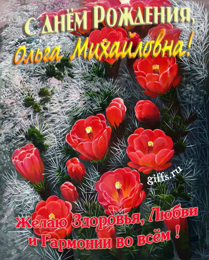 Шикарная открытка на день рождения Ольге Михайловне с красными тюльпанами. Шикарная открытка на день рождения Ольге Михайловне с красными тюльпанами.
