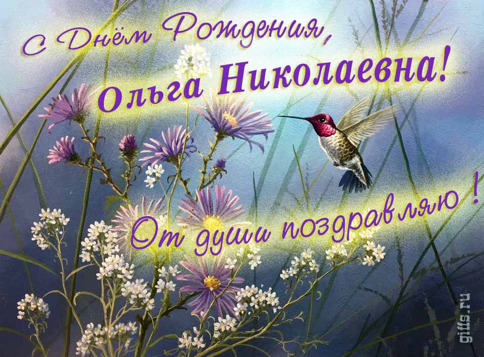 Красивая открытка с надписью "С днём рождения, Ольга Николаевна! От души поздравляю!". Красивая открытка с надписью "С днём рождения, Ольга Николаевна! От души поздравляю!".