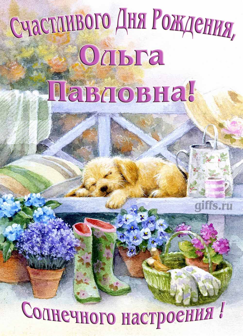 Забавная картинка с собачкой для именного поздравления Ольги Николаевны с ДР. Забавная картинка с собачкой для именного поздравления Ольги Николаевны с ДР.