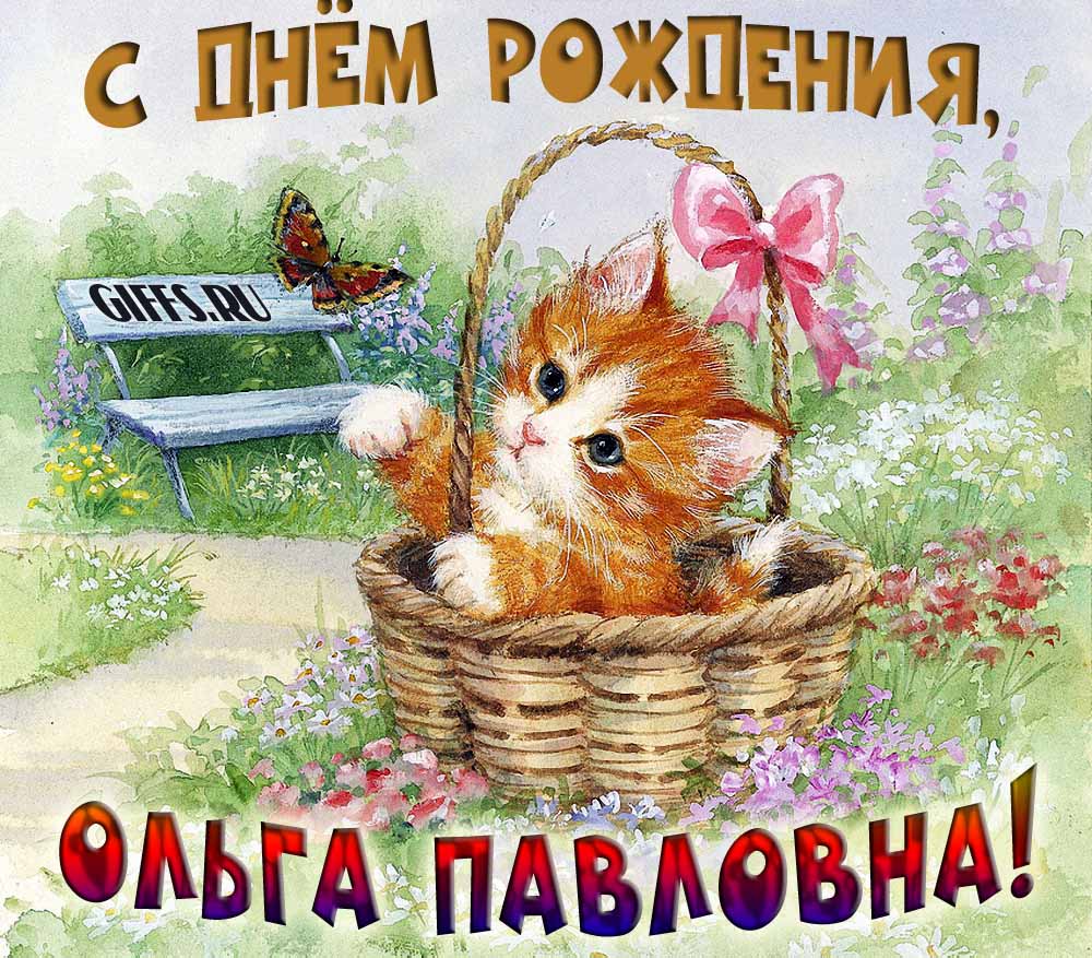 Милая открытка с рыжим котёнком Ольге Павловне в день её рождения. Милая открытка с рыжим котёнком Ольге Павловне в день её рождения.