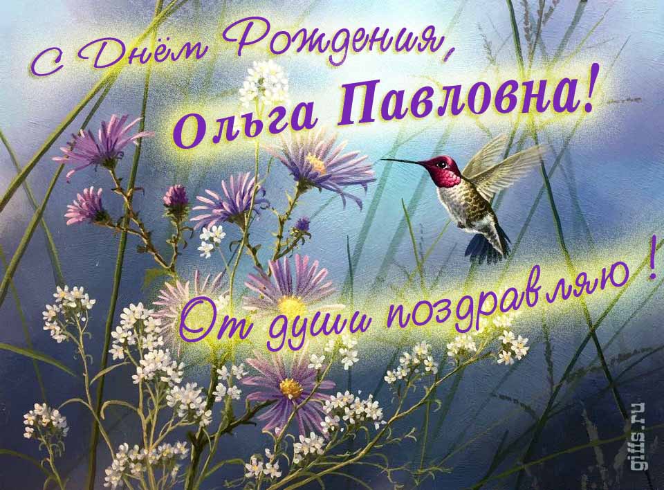 Красивая открытка с надписью "С днём рождения, Ольга Павловна! От души поздравляю!". Красивая открытка с надписью "С днём рождения, Ольга Павловна! От души поздравляю!".