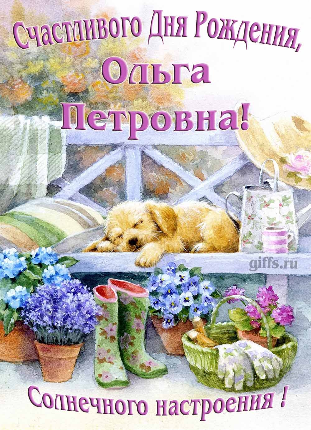 Забавная картинка с собачкой для именного поздравления Ольги Петровны с ДР. Забавная картинка с собачкой для именного поздравления Ольги Петровны с ДР.