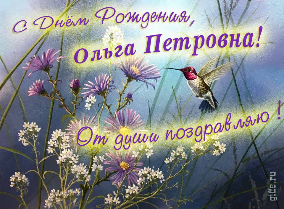 Красивая открытка с надписью "С днём рождения, Ольга Петровна! От души поздравляю!". Красивая открытка с надписью "С днём рождения, Ольга Петровна! От души поздравляю!".
