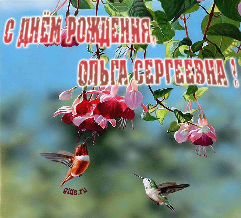 Весенние красивые картинки с надписями "С днём рождения, Ольга Сергеевна!". Весенние красивые картинки с надписями "С днём рождения, Ольга Сергеевна!".