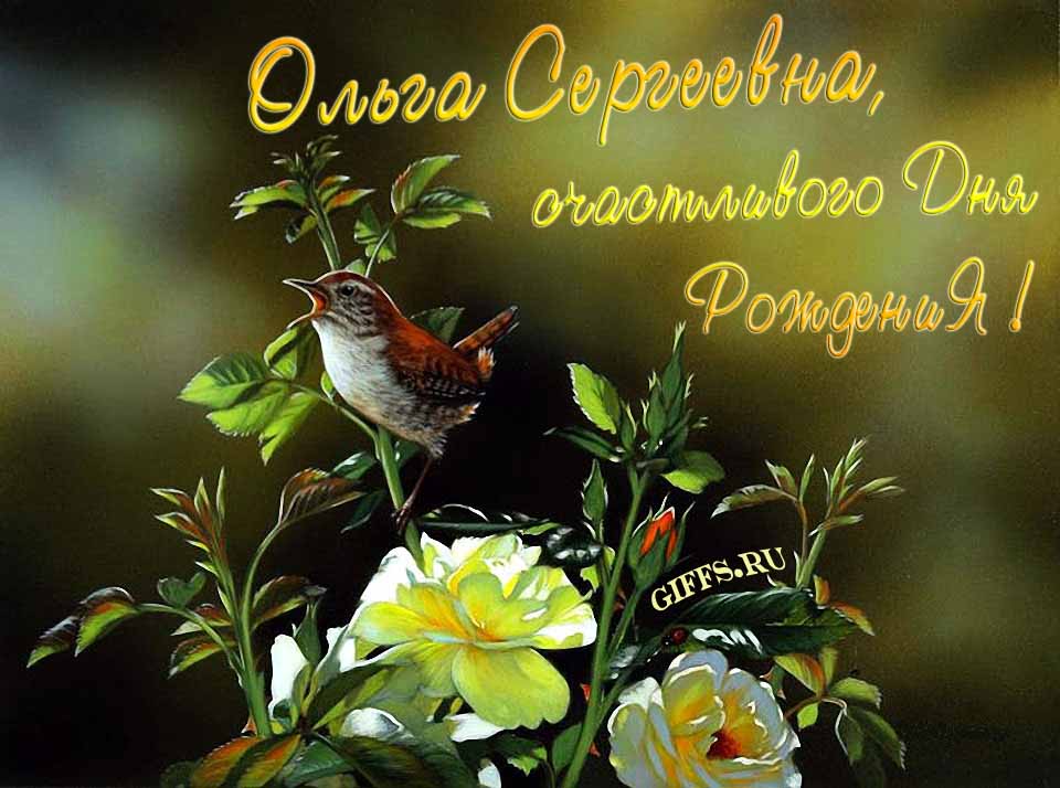 Прикольная открытка с птичкой и пожеланием счастливого дня рождения лично Ольге Сергеевне. Прикольная открытка с птичкой и пожеланием счастливого дня рождения лично Ольге Сергеевне.