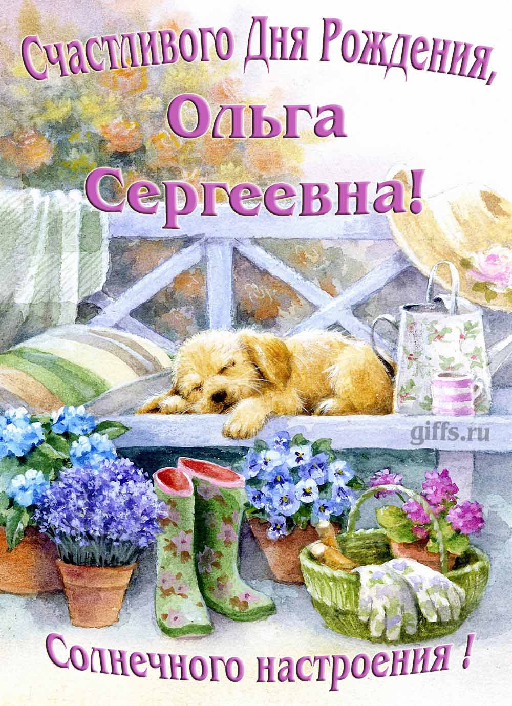 Забавная картинка с собачкой для именного поздравления Ольги Сергеевны с ДР. Забавная картинка с собачкой для именного поздравления Ольги Сергеевны с ДР.