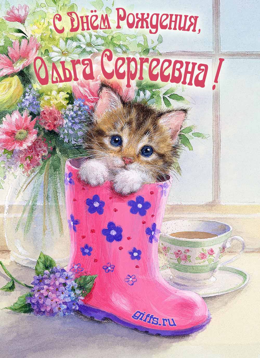 Милая картинка с котёнком на фоне букета цветов для Ольги Сергеевны в день рождения. Милая картинка с котёнком на фоне букета цветов для Ольги Сергеевны в день рождения.