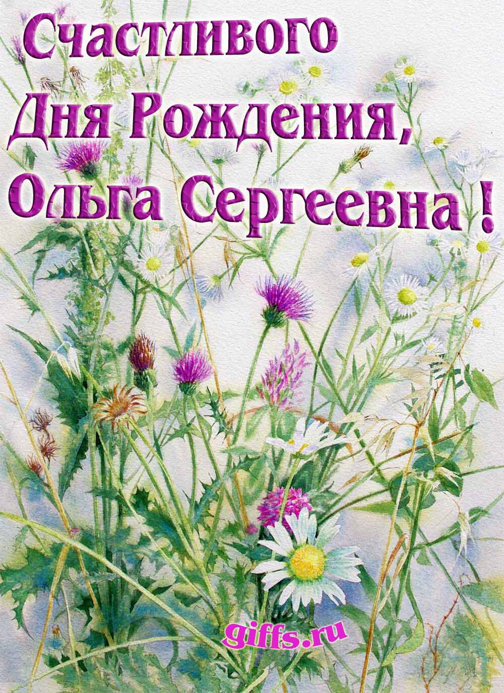 Авторские открытки от сайта giffs.ru с личным поздравлением для Ольги Сергеевны на ДР. Авторские открытки от сайта giffs.ru с личным поздравлением для Ольги Сергеевны на ДР.