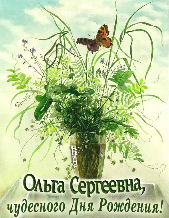 Креативная летняя открытка с бабочкой на цветах и текстом " Ольга Сергеевна, чудесного дня рождения!". Креативная летняя открытка с бабочкой на цветах и текстом " Ольга Сергеевна, чудесного дня рождения!".