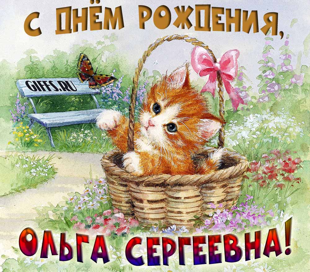 Милая открытка с рыжим котёнком Ольге Сергеевне в день её рождения. Милая открытка с рыжим котёнком Ольге Сергеевне в день её рождения.
