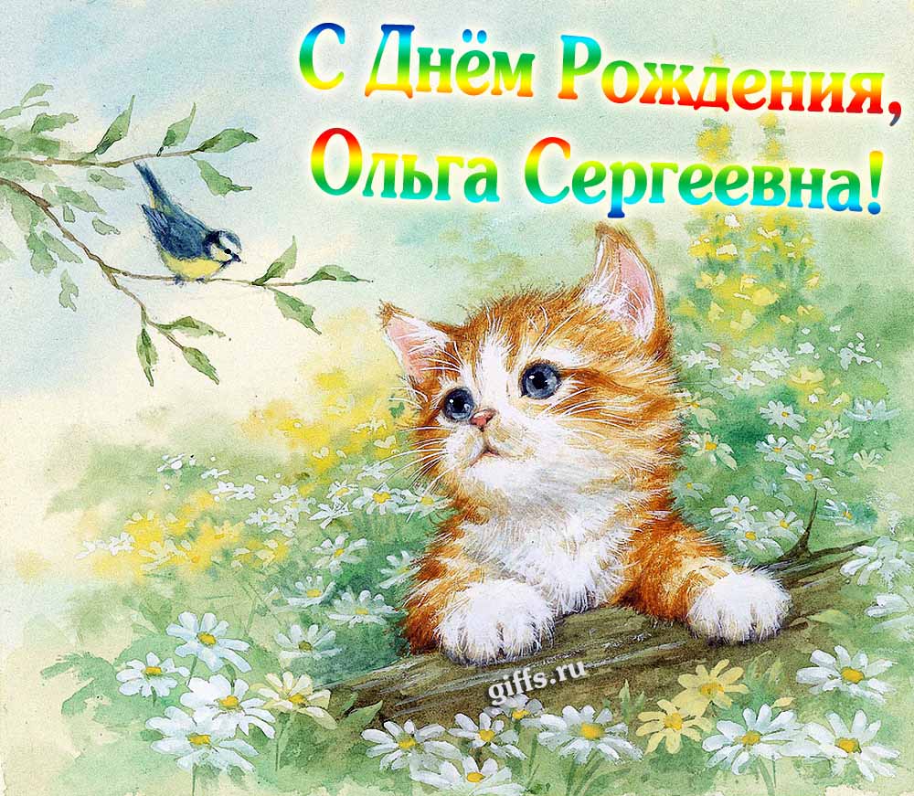 Летняя картинка с котёнком на ДР лично Ольге Сергеевне. Летняя картинка с котёнком на ДР лично Ольге Сергеевне.