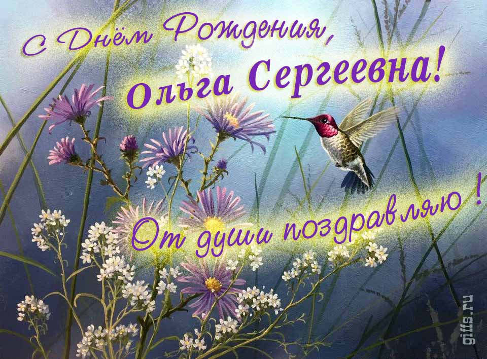 Красивая открытка с надписью "С днём рождения, Ольга Сергеевна! От души поздравляю!". Красивая открытка с надписью "С днём рождения, Ольга Сергеевна! От души поздравляю!".