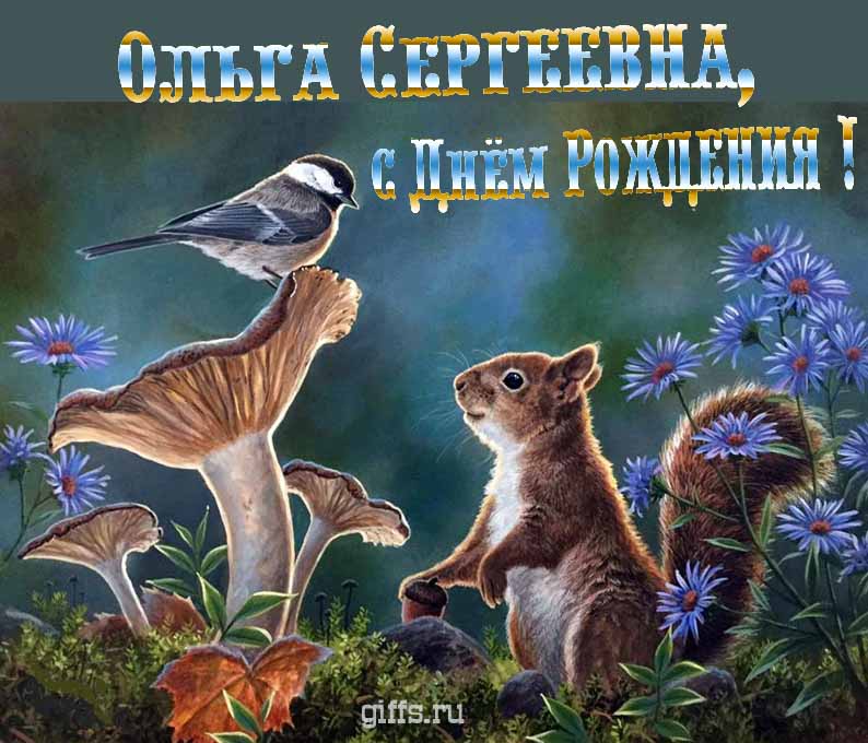 Смешная открытка с белочкой на день рождения, уважаемой Ольге Сергеевне. Смешная открытка с белочкой на день рождения, уважаемой Ольге Сергеевне.