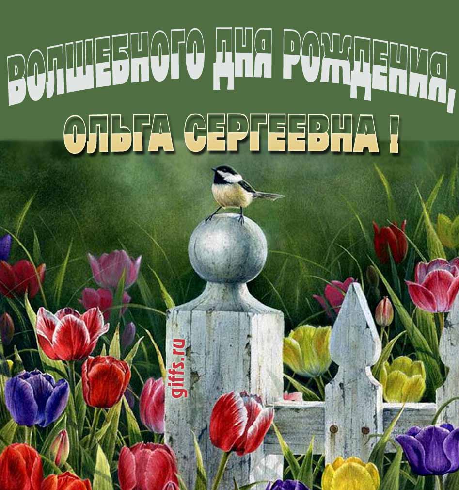 Волшебная открытка с тюльпанами ко дню варения Ольги Сергеевны. Волшебная открытка с тюльпанами ко дню варения Ольги Сергеевны.