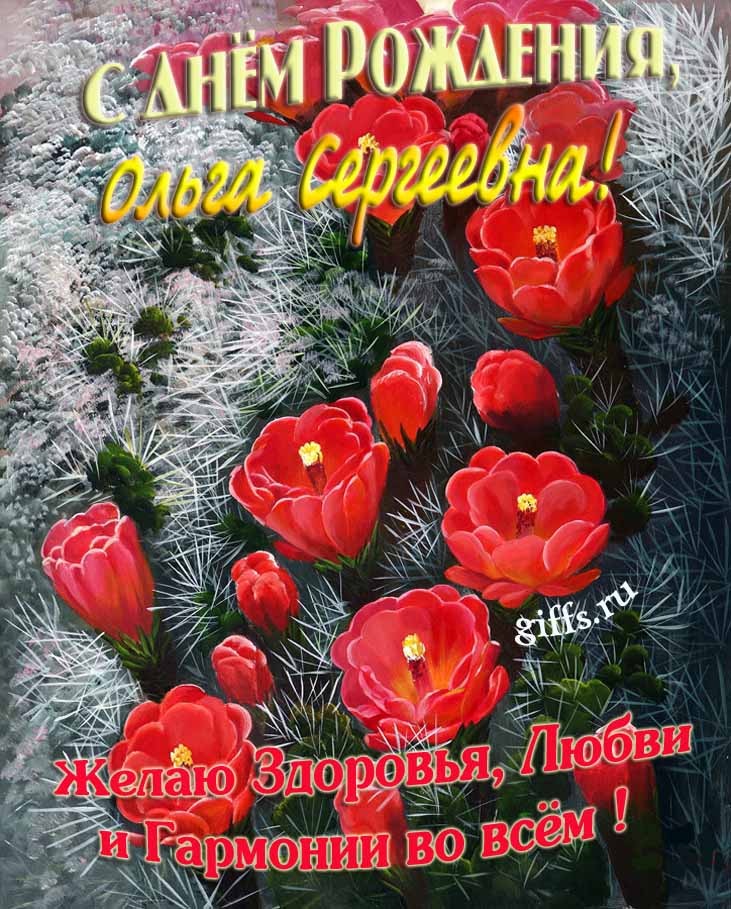 Шикарная открытка на день рождения Ольге Сергеевне с красными тюльпанами. Шикарная открытка на день рождения Ольге Сергеевне с красными тюльпанами.