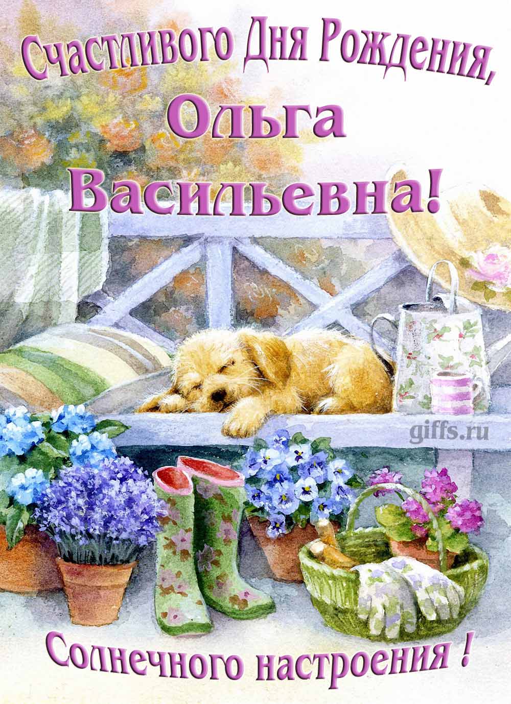 Забавная картинка с собачкой для именного поздравления Ольги Васильевны с ДР. Забавная картинка с собачкой для именного поздравления Ольги Васильевны с ДР.