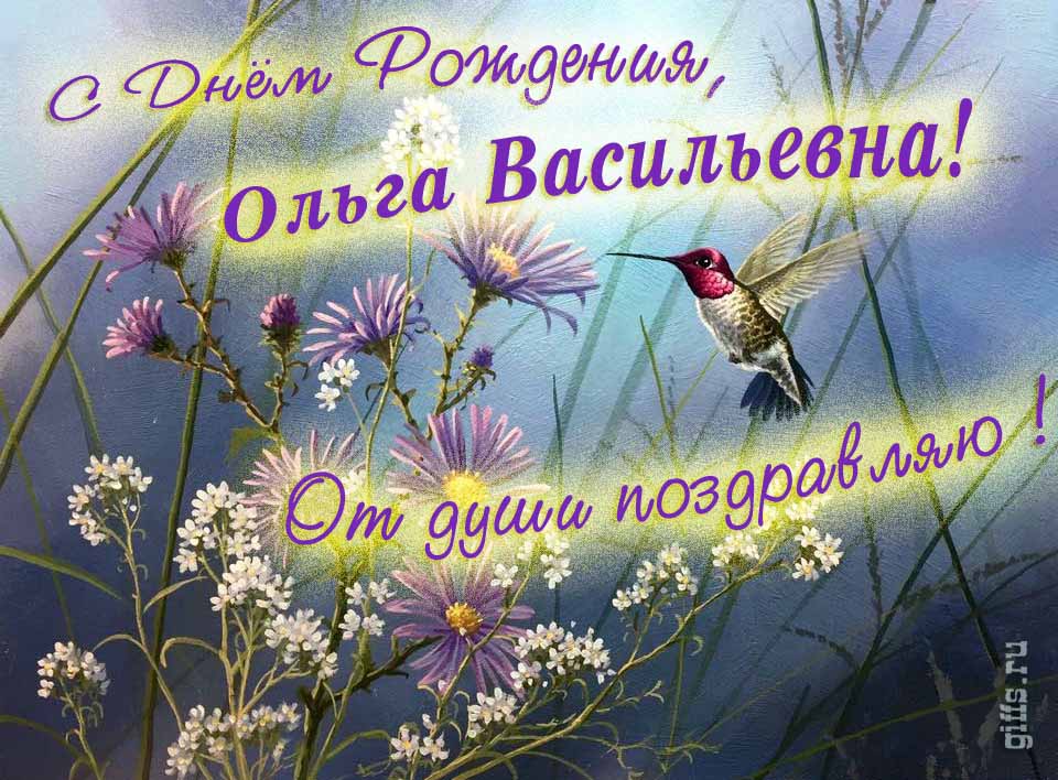 Красивая открытка с надписью "С днём рождения, Ольга Васильевна! От души поздравляю!". Красивая открытка с надписью "С днём рождения, Ольга Васильевна! От души поздравляю!".