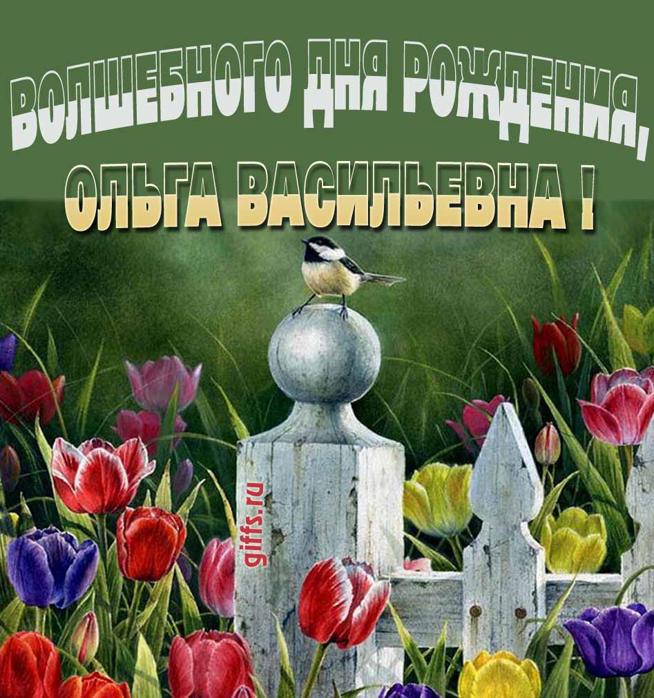 Волшебная открытка с тюльпанами ко дню варения Ольги Васильевны. Волшебная открытка с тюльпанами ко дню варения Ольги Васильевны.
