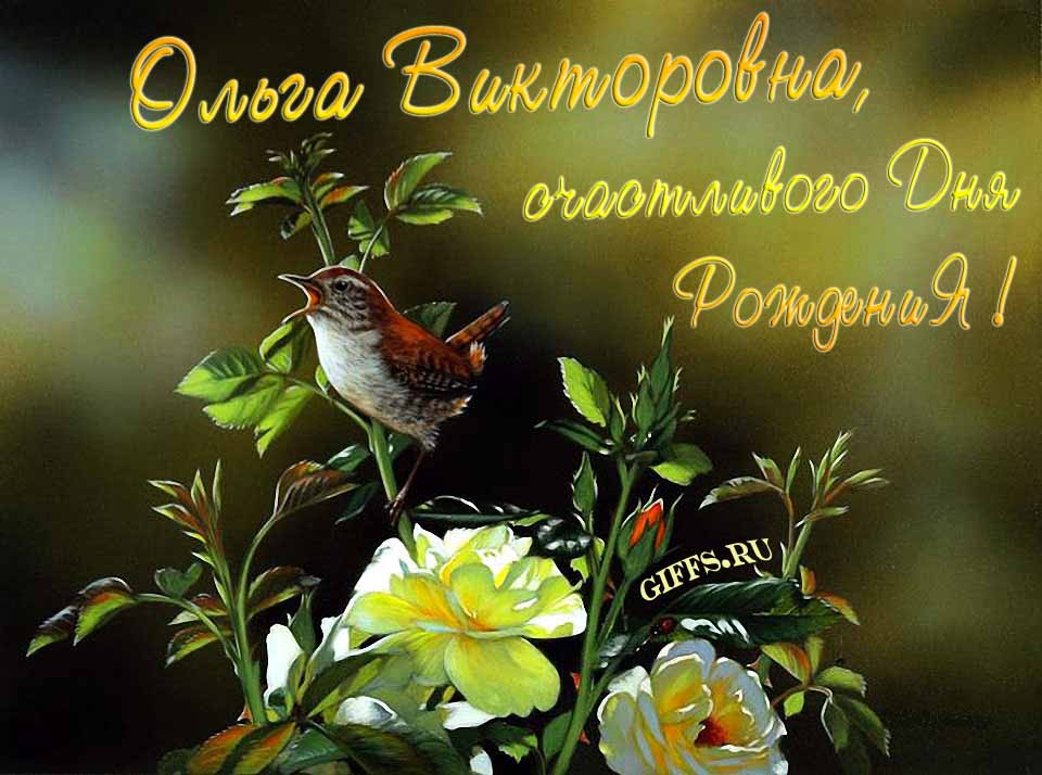 Прикольная открытка с птичкой и пожеланием счастливого дня рождения лично Ольге Викторовне. Прикольная открытка с птичкой и пожеланием счастливого дня рождения лично Ольге Викторовне.