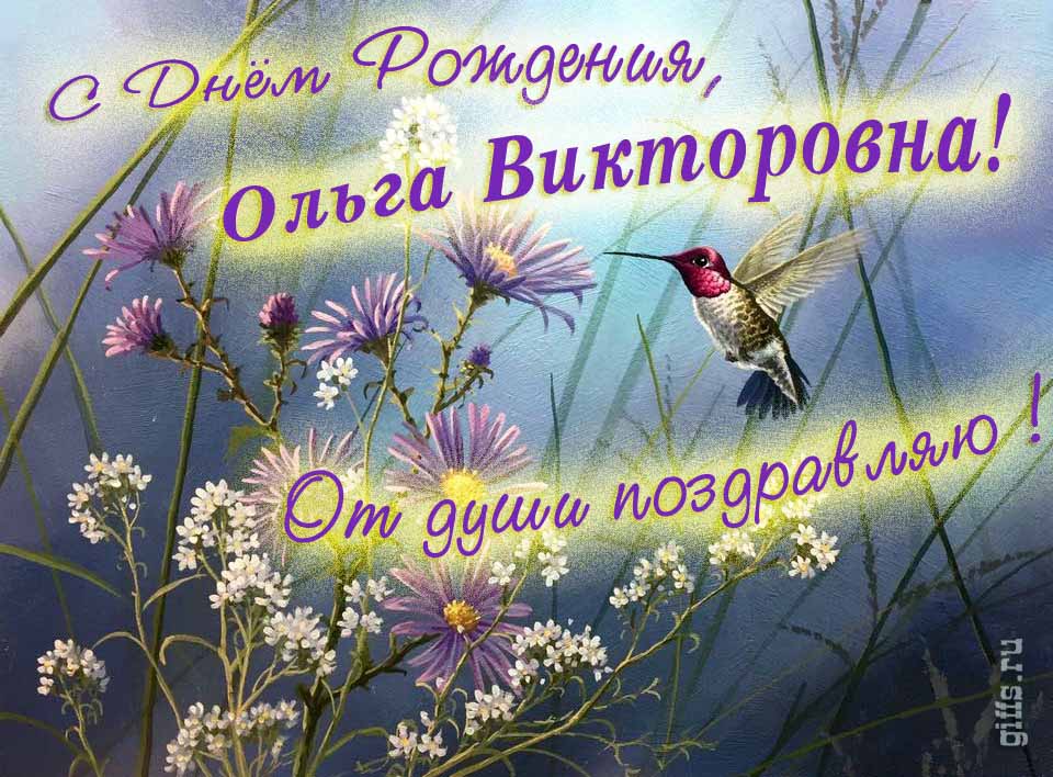 Красивая открытка с надписью "С днём рождения, Ольга Викторовна! От души поздравляю!". Красивая открытка с надписью "С днём рождения, Ольга Викторовна! От души поздравляю!".