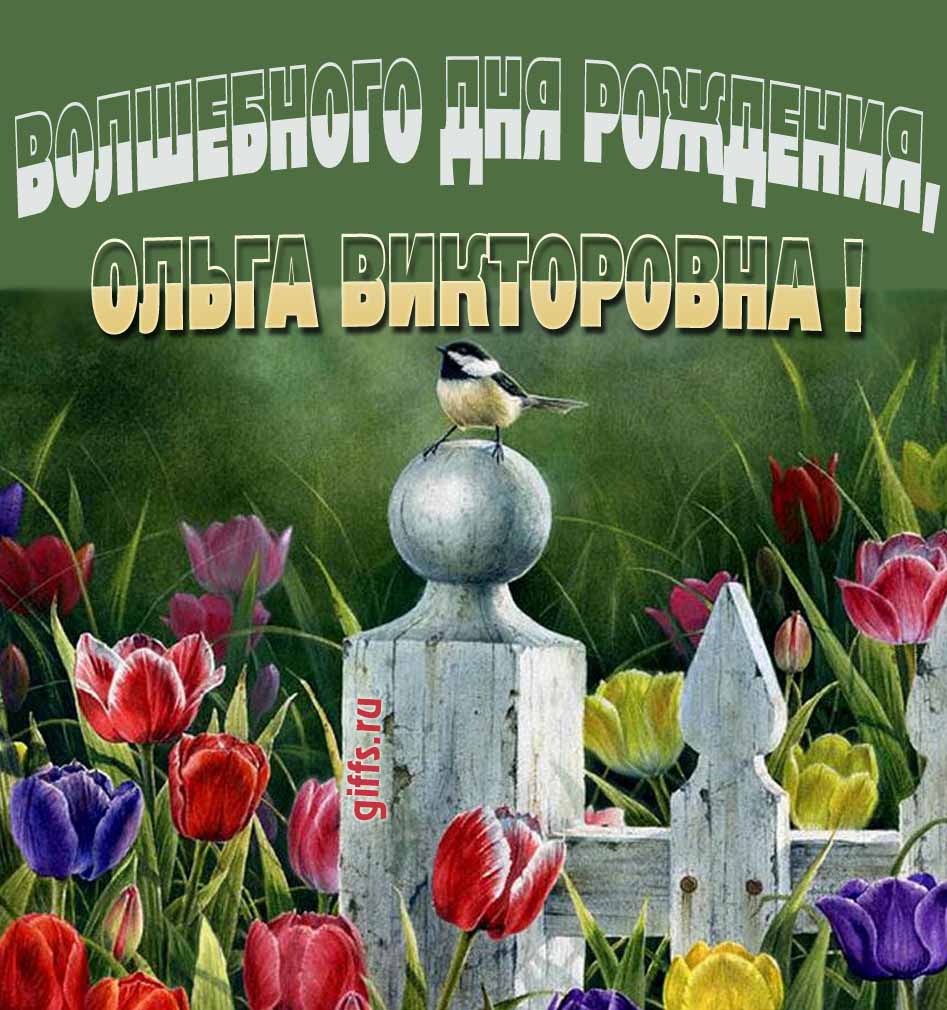Волшебная открытка с тюльпанами ко дню варения Ольги Викторовны. Волшебная открытка с тюльпанами ко дню варения Ольги Викторовны.