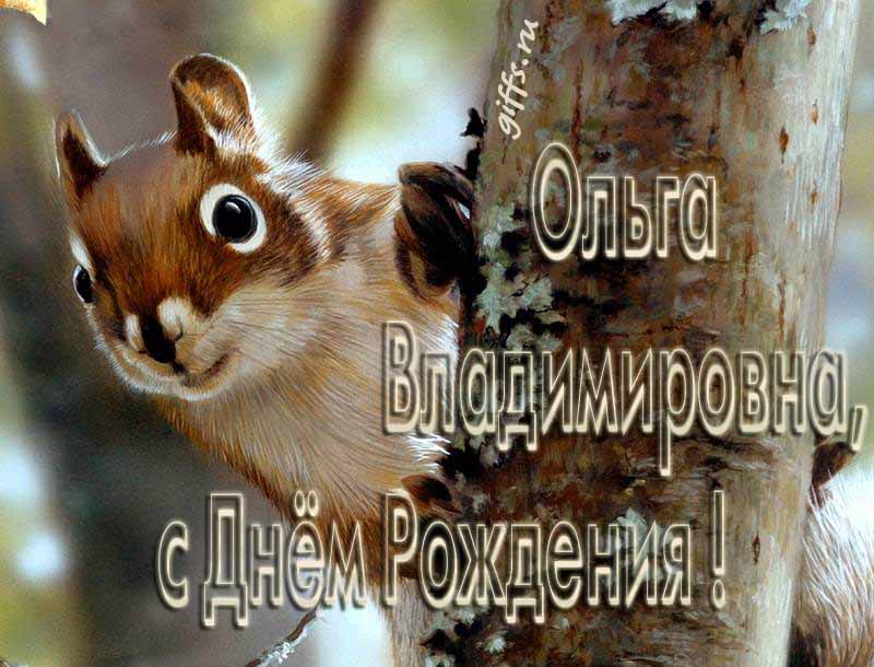Смешная картинка с белочкой для Ольги Владимировны в честь её дня рождения. Смешная картинка с белочкой для Ольги Владимировны в честь её дня рождения.
