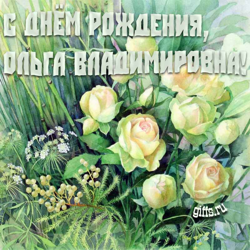 Именные картинки с белыми розами и текстом "С днём рождения, Ольга Владимировна!". Именные картинки с белыми розами и текстом "С днём рождения, Ольга Владимировна!".