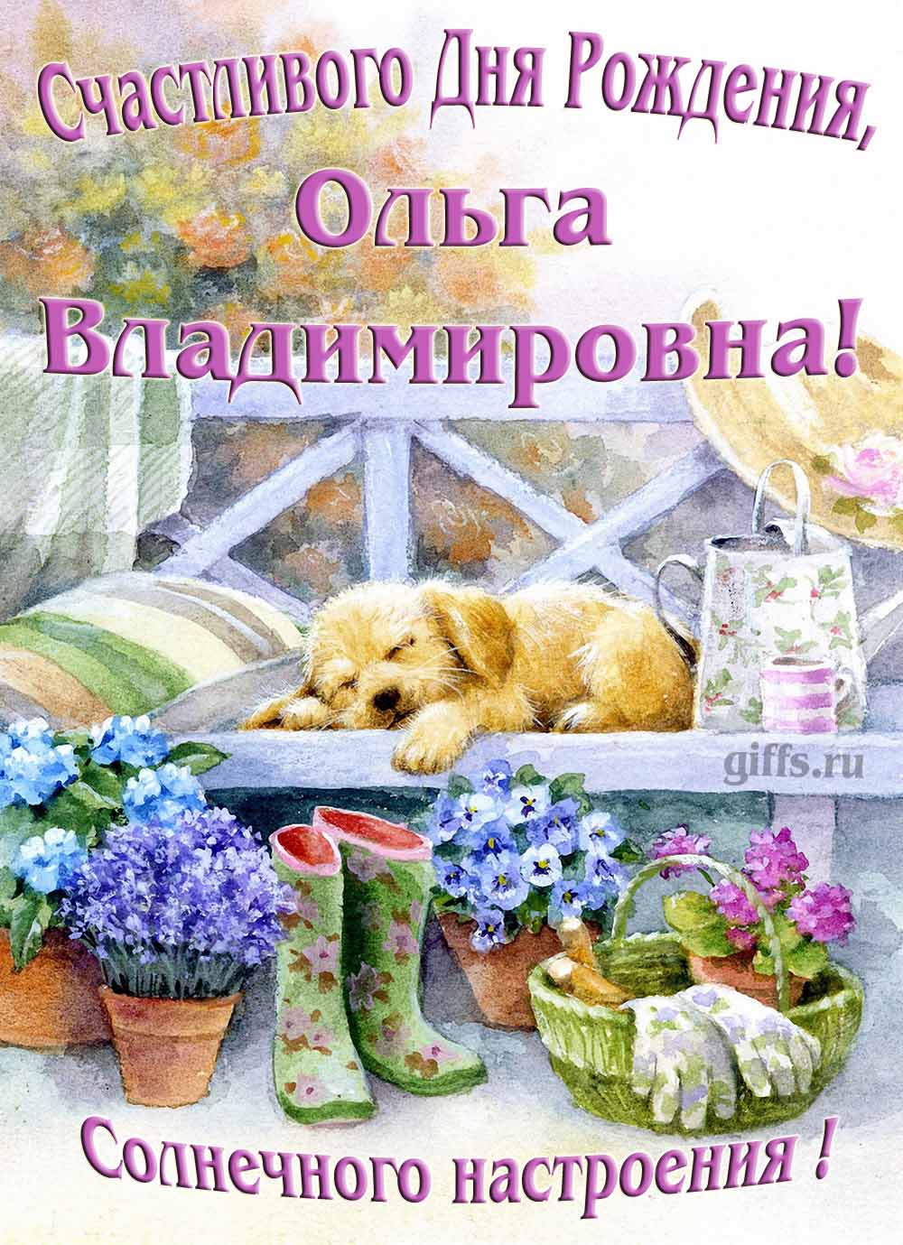 Забавная картинка с собачкой для именного поздравления Ольги Владимировны с ДР. Забавная картинка с собачкой для именного поздравления Ольги Владимировны с ДР.