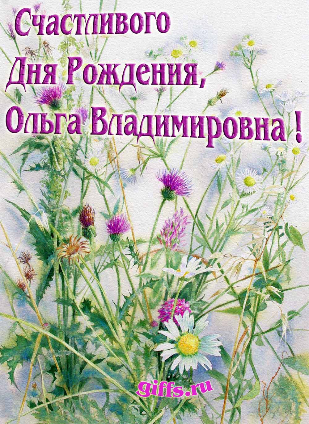 Авторские открытки от сайта giffs.ru с личным поздравлением для Ольги Владимировны на ДР. Авторские открытки от сайта giffs.ru с личным поздравлением для Ольги Владимировны на ДР.