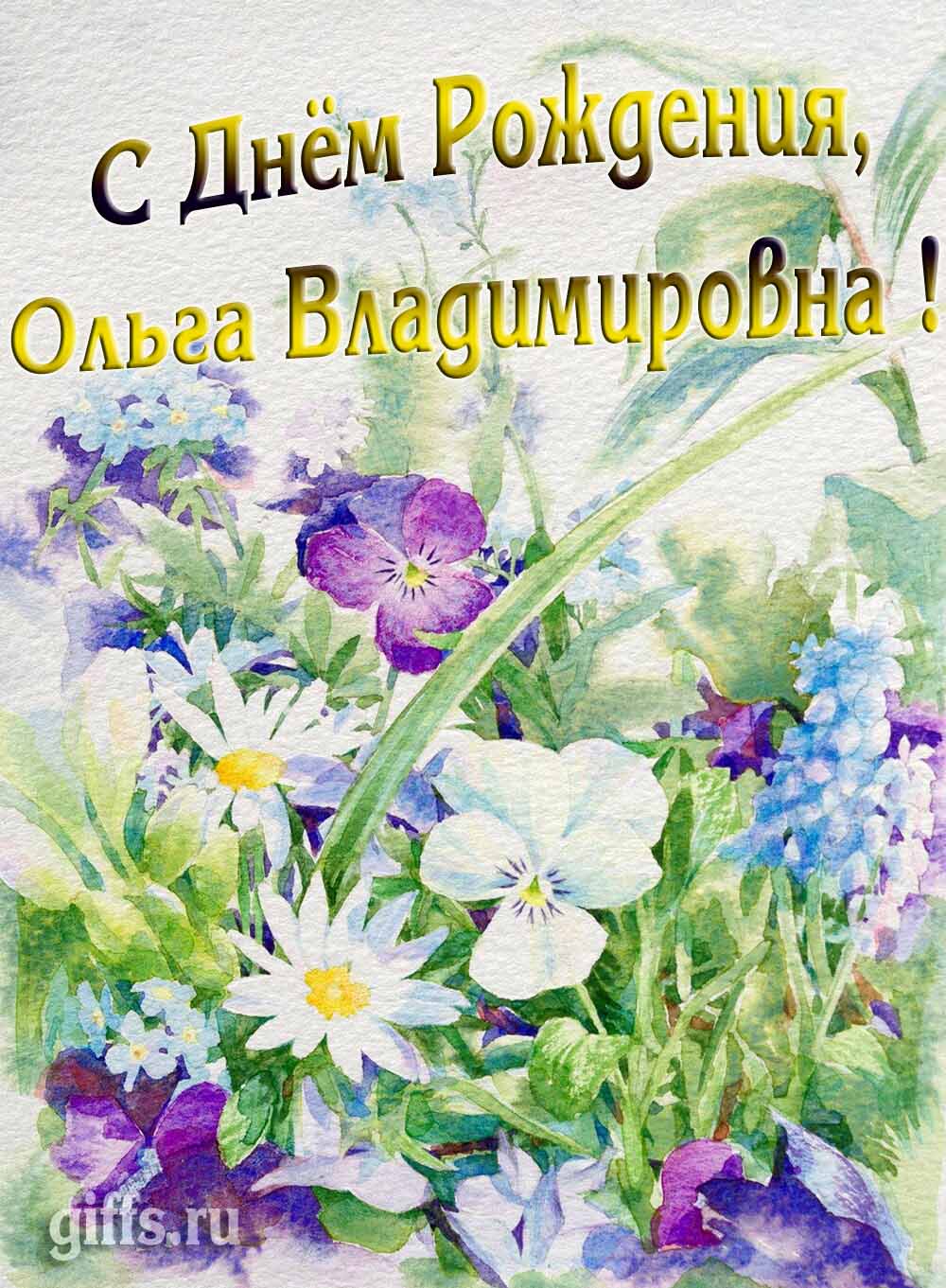 Красивая летняя картина с цветами "С днём рождения Ольга Владимировна!". Красивая летняя картина с цветами "С днём рождения Ольга Владимировна!".
