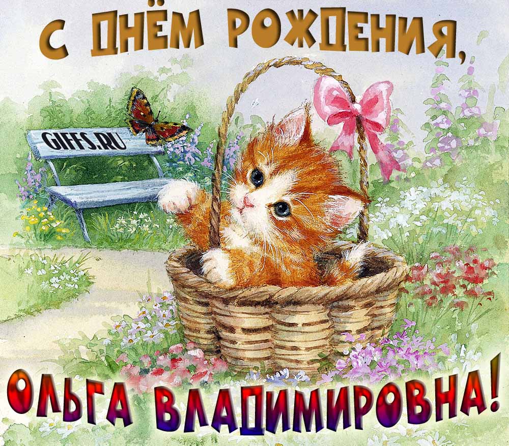 Милая открытка с рыжим котёнком Ольге Владимировне в день её рождения. Милая открытка с рыжим котёнком Ольге Владимировне в день её рождения.
