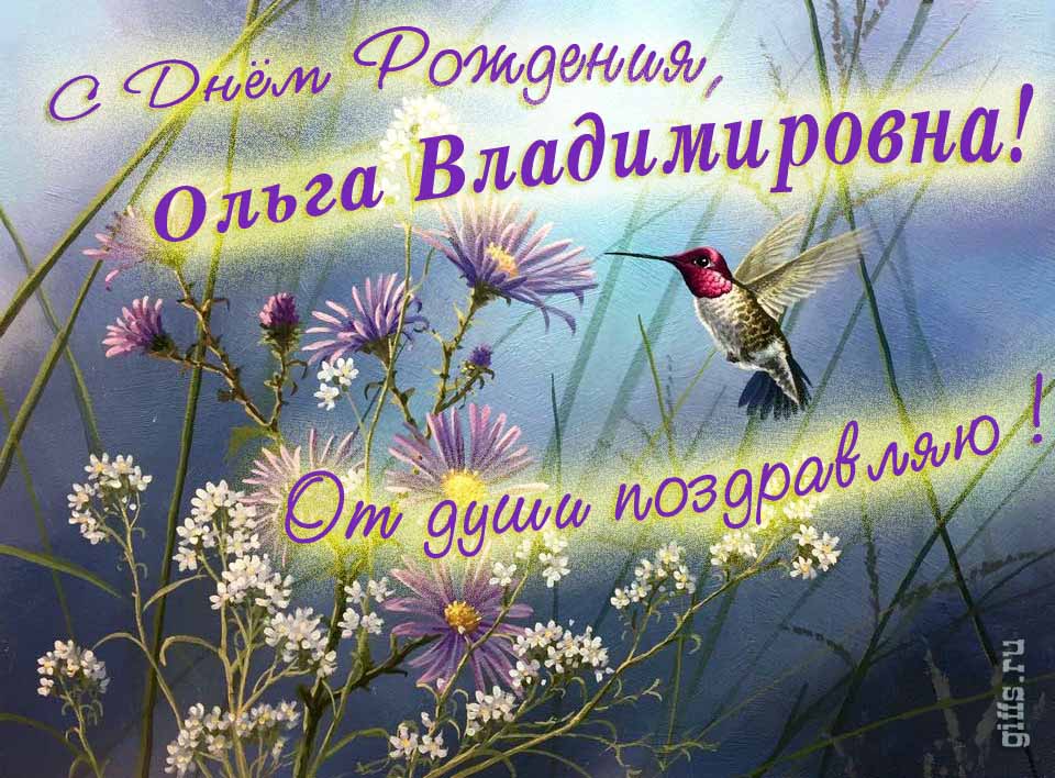 Красивая открытка с надписью "С днём рождения, Ольга Владимировна! От души поздравляю!". Красивая открытка с надписью "С днём рождения, Ольга Владимировна! От души поздравляю!".