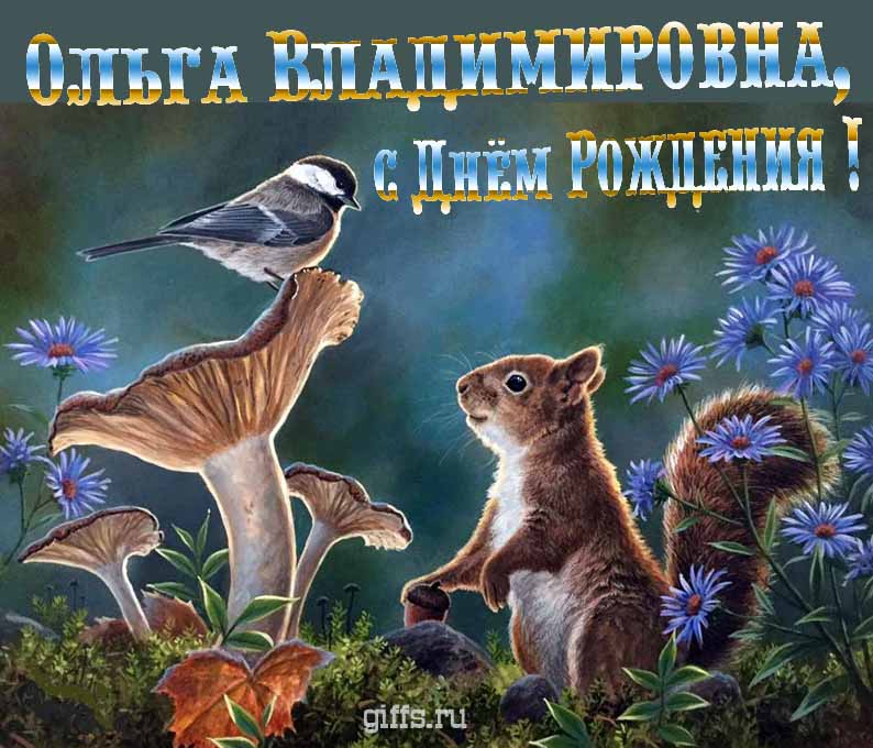 Смешная открытка с белочкой на день рождения, уважаемой Ольге Владимировне. Смешная открытка с белочкой на день рождения, уважаемой Ольге Владимировне.