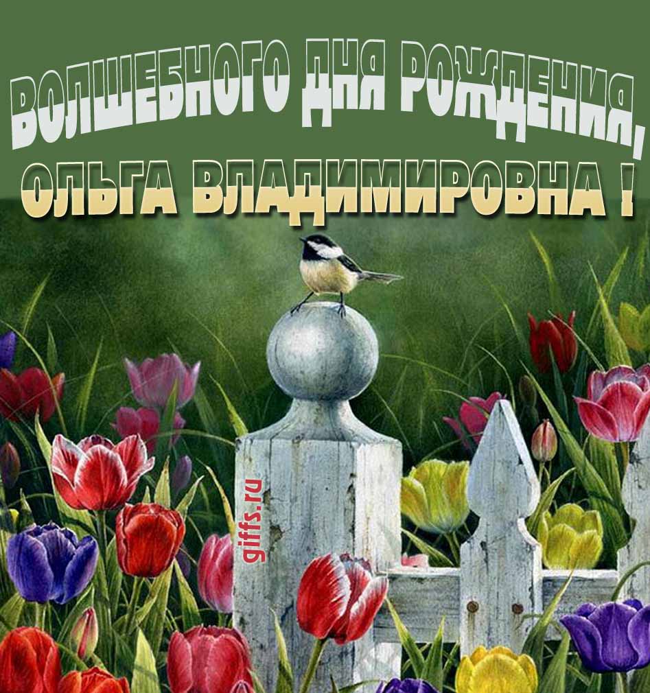 Волшебная открытка с тюльпанами ко дню варения Ольги Владимировны. Волшебная открытка с тюльпанами ко дню варения Ольги Владимировны.