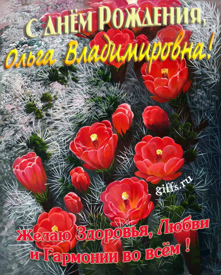 Шикарная открытка на день рождения Ольге Владимировне с красными тюльпанами. Шикарная открытка на день рождения Ольге Владимировне с красными тюльпанами.