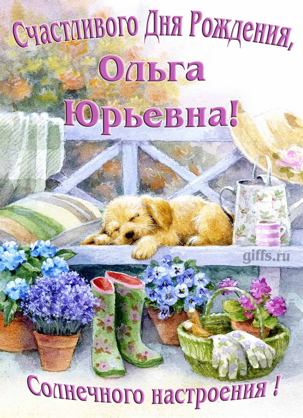 Забавная картинка с собачкой для именного поздравления Ольги Юрьевны с ДР. Забавная картинка с собачкой для именного поздравления Ольги Юрьевны с ДР.