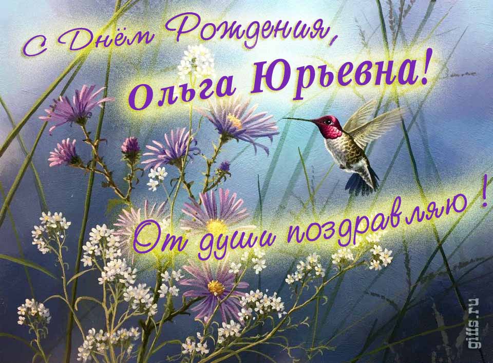 Красивая открытка с надписью "С днём рождения, Ольга Юрьевна! От души поздравляю!". Красивая открытка с надписью "С днём рождения, Ольга Юрьевна! От души поздравляю!".