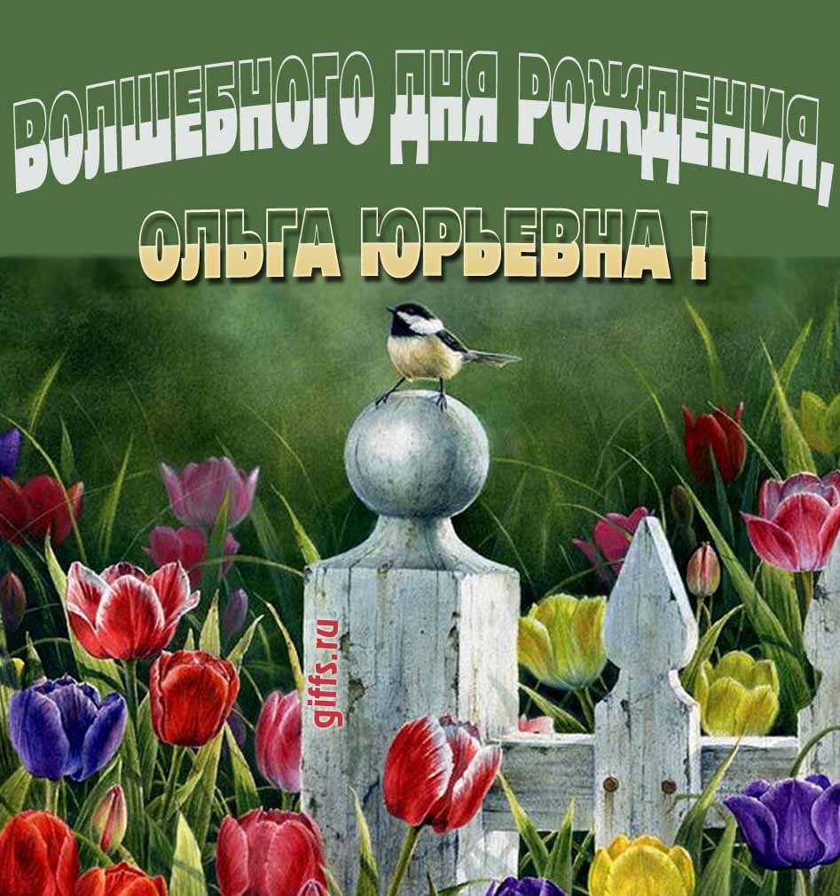 Волшебная открытка с тюльпанами ко дню варения Ольги Юрьевны. Волшебная открытка с тюльпанами ко дню варения Ольги Юрьевны.