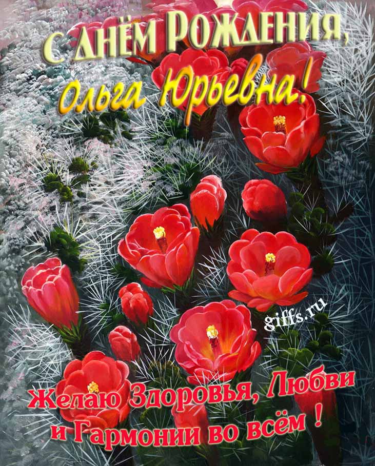 Шикарная открытка на день рождения Ольге Юрьевне с красными тюльпанами. Шикарная открытка на день рождения Ольге Юрьевне с красными тюльпанами.