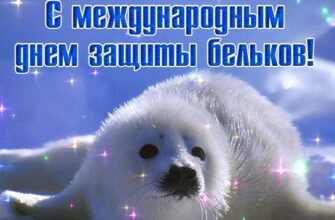 Гифки с международным днём защиты бельков 15 Марта