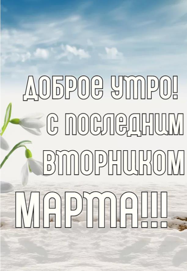 Снежная вертикальная открытка с подснежниками и надписью "Доброе утро! С последним вторником Марта!". Снежная вертикальная открытка с подснежниками и надписью "Доброе утро! С последним вторником Марта!".