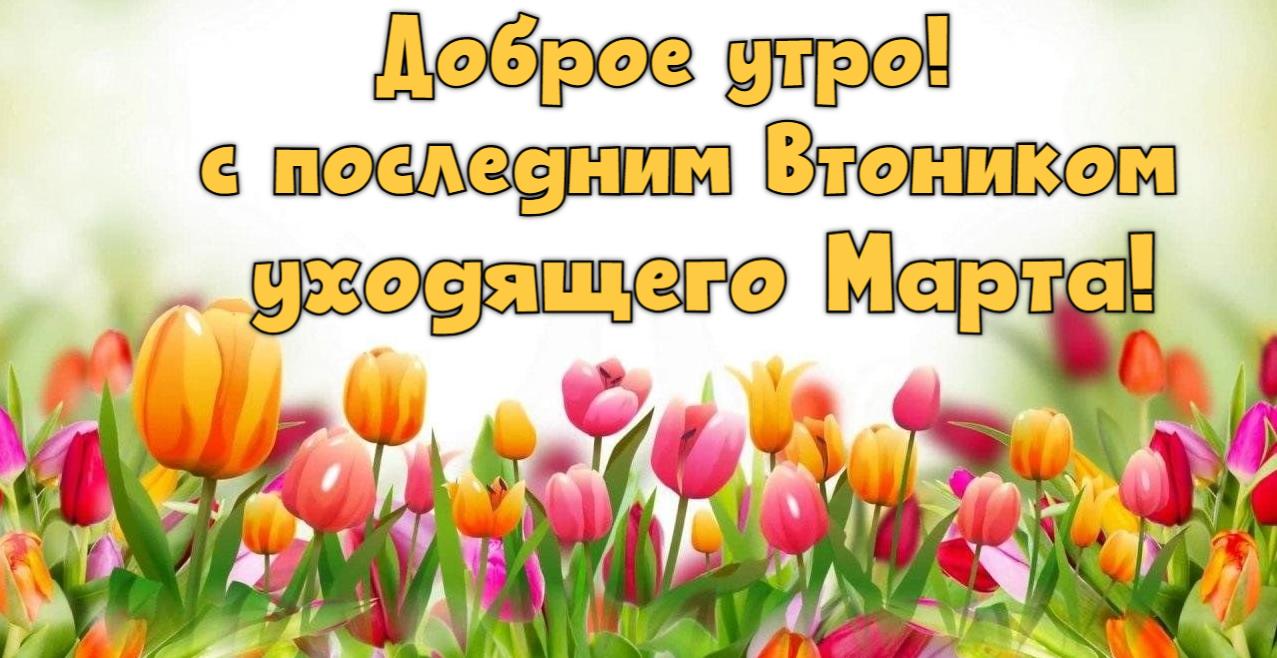 Весенняя открытка с тюльпанами для пожелания доброго утра в последний вторник, уходящего марта. Весенняя открытка с тюльпанами для пожелания доброго утра в последний вторник, уходящего марта.