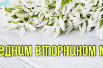 Картинки с последним Вторником Марта