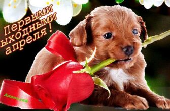 Гифки с первыми выходными Апреля (5 gif картинок)